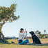 Dog Treat Pouch - Black, 3 Pockets, Waist/Shoulder Wear, Eco-Friendly Material, Poop Bag Dispenser