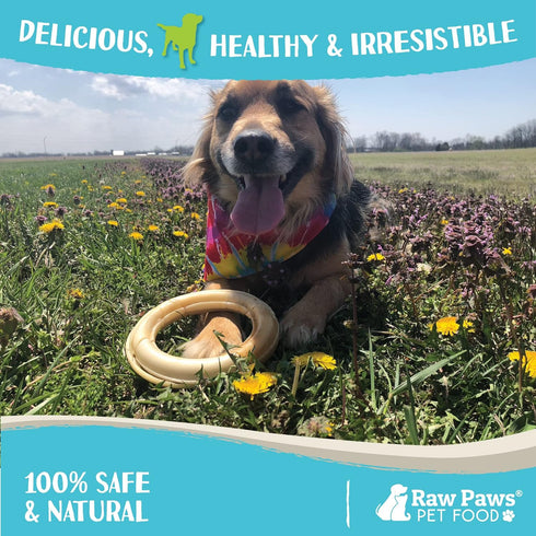 Raw Paws Compressed Rawhide Rings for Dogs, 6-inch, 5-Count - Digestible Rawhide Donuts, Natural Puppy Teething Rings