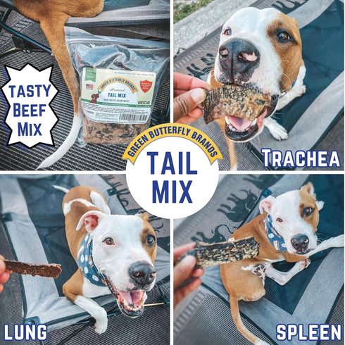 Tail Mix Dog Treats Made in USA All Natural Beef Bites 1 Ingredient Grain Free Assortment Beef Lung, Trachea and Spleen
