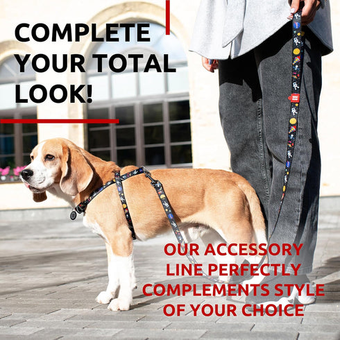 WAUDOG Nylon Dog Leash for Small and Medium Dogs 4 Ft - Heavy Duty Leash for Large Dogs & Puppy Leash