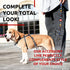 WAUDOG Nylon Dog Leash for Small and Medium Dogs 4 Ft - Heavy Duty Leash for Large Dogs & Puppy Leash