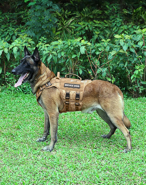 Tactical Dog Harness - PETNANNY Service Dog Vest for Large Breed, MOLLE Vest with Handle for Walking, Hiking, Training