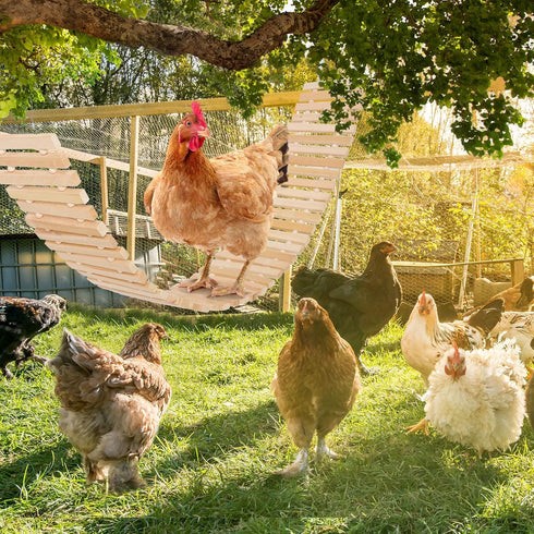 Jorewood Chicken Coop Toy Natural Wooden Chicken Swing & Bridge Toys Multi-Functional Poultry Perch with Wooden Beads