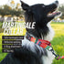 Leashboss Martingale Collar for Dogs, Reflective Nylon No Pull Training Collar, Adjustable for Large, Medium & Small
