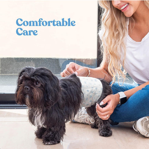 50-Pack Comfortable Male Dog Diapers - Super Absorbent Disposable Male Dog Wraps- FlashDry Gel Technology, Wetness