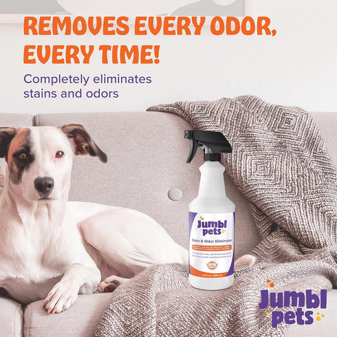 32oz Pet Stain & Odor Eliminator - Made in USA, Unscented Enzyme Odor Eliminator & Spot Remover Spray for Urine, Feces,