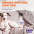 32oz Pet Stain & Odor Eliminator - Made in USA, Unscented Enzyme Odor Eliminator & Spot Remover Spray for Urine, Feces,
