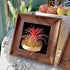 Generic Tillandsia Funckiana Air Plant Kit, 4" Frame (Wall-Mount & Tabletop), Magnetic Holder,