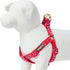 Blueberry Pet Adjustable Step-in Dog Harness - Velvety Heart Flocking Valentine’s Day for Medium Dogs, Lust Red