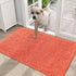 OLANLY Dog Door Mat for Muddy Paws, Absorbent Non-Slip Washable Mat, Quick Dry Chenille, 36x24, Coral