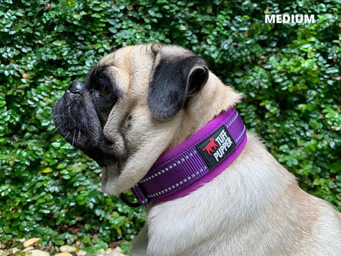 Tuff Pupper Ultra Comfort Padded Dog Collar | Thick Neoprene Padding | Waterproof Collar with Reflective Stitching