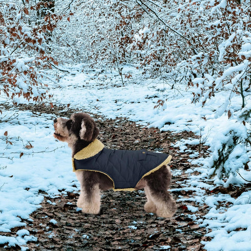 Queenmore Warm Dog Coat, Cold Weather Puffer Jacket with Ultra Thick Plush Lining (Green, Large)