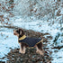 Queenmore Warm Dog Coat, Cold Weather Puffer Jacket with Ultra Thick Plush Lining (Green, Large)