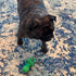 SPOT 4.5 Inch, Puppy Pacifier Latex Dog Toy Soft Binky-Shaped Chew for Teething Puppies & Small Dogs, for Light Chewers