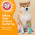 Arm & Hammer for Pets Chew Tools Collection, Wood Blend Paintbrush Chew Toy for Dogs, 7.5 Inch