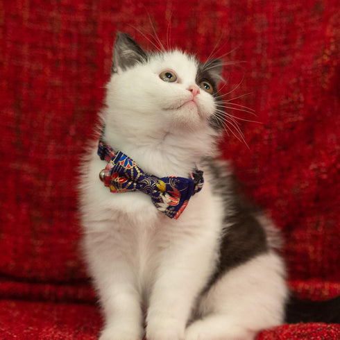 Breakaway Cat Collar with Bell and Detachable Bowtie, Adjustable Safety Kitten Puppy 2pcs Navy Blue & Red