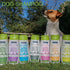 Ancol 200Ml Baby Pink Dog Shampoo
