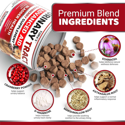 170 Immune Dog UTI Chews - Treats - Cranberry Supplement for Dogs - Bladder Control - Digestion & Support - Urinary