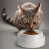 CatGuru Whisker Friendly Cat Bowls, Non Slip Pet Feeding Bowls for Indoor Cats, Shallow Kitten Dish (Marshmallow)