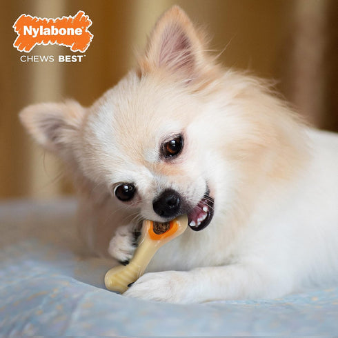 Nylabone Power Chew Knuckle Bone & Pop-In Dog Treat Toy Combo with Chicken Flavor, X-Small/Petite