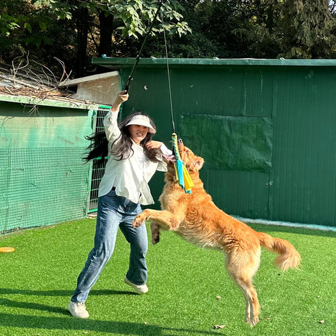 Flirt Pole for Dogs, Interactive Tug-of-War Toy, Adjustable Length for Outdoor Exercise & Training
