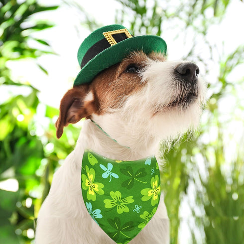 St. Patrick Dog Cat Bandana, Holiday 2 Pack Irish Rainbow Shamrock Scarfs for Small Medium Large Pets