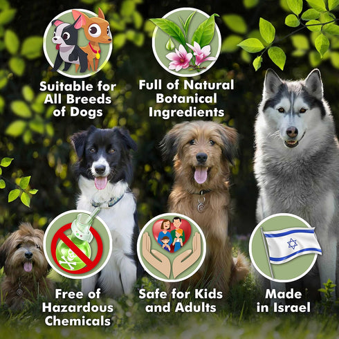 400ml 13.5 oz Arava Natural Medicated Dog Shampoo Anti Yeast Anti Itch Dog Shampoo - Healthy Skin & Coat - First Aid