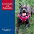 Coastal Pet Comfort Soft Wrap Adjustable Dog Harness, Orchid, 3/8" x 14"-16", Easy Step-in Design