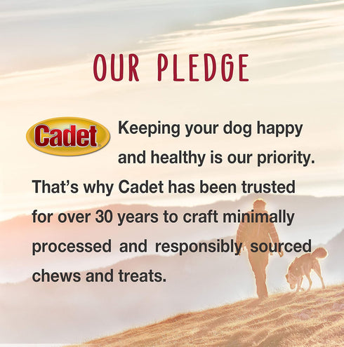 Cadet Double Stuffed Shin Bone, Highly Digestible, High Protein Dog Chew Bone, Bacon & Cheese Flavor, Large