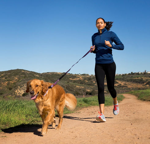 HALTI Active Leash - Award-Winning Bungee Dog Leash, Shock-Absorbing, Neoprene Padded Belt & Lead for Medium & Large
