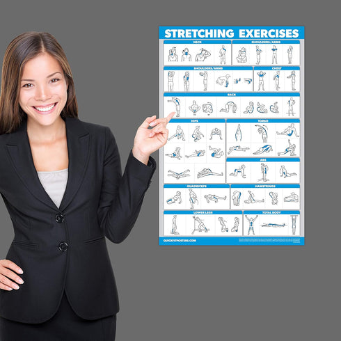 Palace Learning Stretching Exercises and Muscular System Anatomy Poster Set - Laminated 2 Chart Set, 18" x 24"