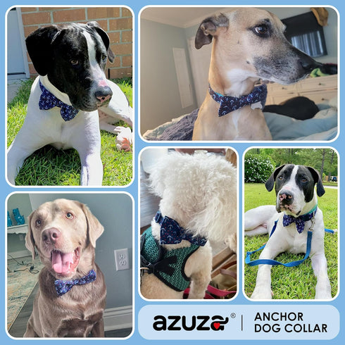 azuza Anchor Dog Collar with Bow Tie, Soft Comfortable Adjustable Collar for Medium Dogs