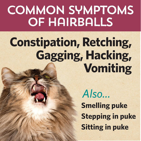 Fidobiotics Meowbiotics Hairball Buster Powder for Cats, 30 Servings, 2 Billion CFU Probiotics, Smoked Fish Chowdah