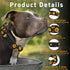 Dog Collar for Boys Girls, Sunflower Puppy Collar for Small Medium Large Dogs, Adjustable Soft Floral Pet Collar with