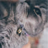 Necoichi Chirimen Hanabi Fireworks Cat Collar (Purple) with Bell, Safety Breakaway for Cats