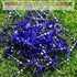 prowithlin Golf Tees 3 1/4 Unbreakable Acrylic, Plastic Golf Tees in Purple (50pcs)