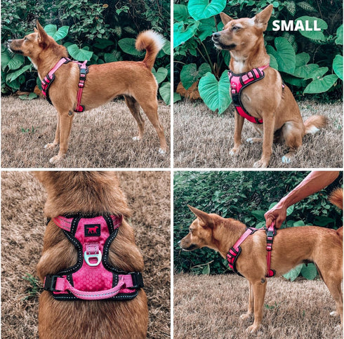 Tuff Pupper Anti Pull Heavy Duty Dog Harness, Easy Walk with Front & Back Leash Clips, Reflective Vest for Small,