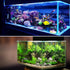 VOCOSTE 1pcs Fish Tank Aquarium Decorations Plants, Mini Aquarium Decorations Plastic Plants for Aquarium Decorations, Red 10.24" by VOCOSTE