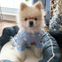 TONY HOBY Dog Pajamas, Soft Breathable Jumpsuit with Cute Smile Cupcake for Small Medium Dogs (Blue, XS)