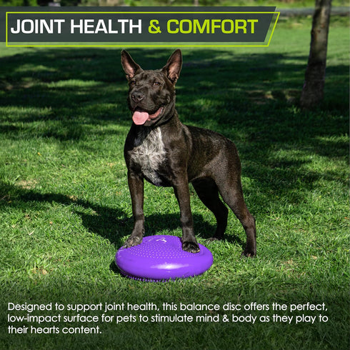 ProsourceFit Core Balance Disc Trainer - 14” Diameter with Pump for Improving Posture, Fitness, Stability