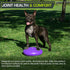 ProsourceFit Core Balance Disc Trainer - 14” Diameter with Pump for Improving Posture, Fitness, Stability