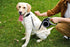 Retractable Dog Leash, 26 Feet for Small to Large Dogs up to 110lbs, Heavy Duty Design with Anti-Slip Handle