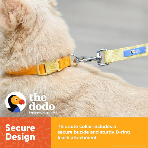 The Dodo All Nylon Yellow Collar and Leash Set, Small, Waterproof Matching Set for Beach Day or Lake Trips