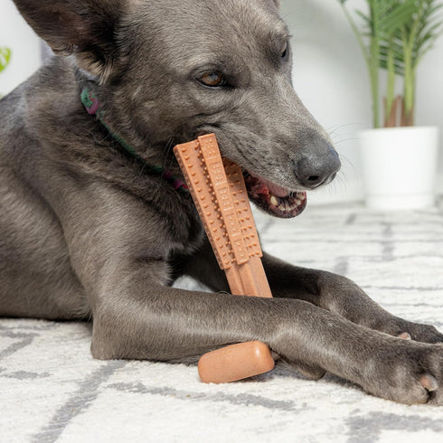 SPOT Bam-bones PLUS T Bone, Durable Bamboo Fiber & Nylon Chew Toy for Aggressive Chewers, 7in