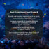 Brightwell Aquatics Reef Code A - 250-ml Balanced Calcium and Alkalinity System for Marine Fish & Reef Aquariums