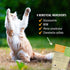 Pet Naturals Hip and Joint Support Supplement for Cats, 30 Chews, Glucosamine, Chondroitin, MSM