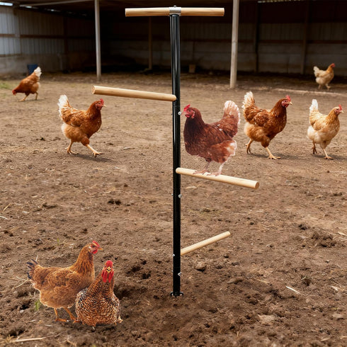 XINYI 3 Plug,1.25-Inch Large Chicken Perch Toys for Coop,Wooden Chicken Roosting Bars with Legs Metal Ground Thickened