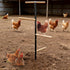 XINYI 3 Plug,1.25-Inch Large Chicken Perch Toys for Coop,Wooden Chicken Roosting Bars with Legs Metal Ground Thickened