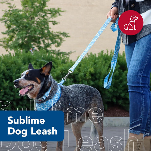 Coastal Pet Sublime Dog Leash, Fashionable Dual-Pattern Design, Colorful Trendy Pattern, Blue Waves with Blue Checkers,