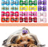 PET SHOW 20pcs/10pairs Bling Small Dogs Hair Bows with Rubber Bands for Grooming Accessories